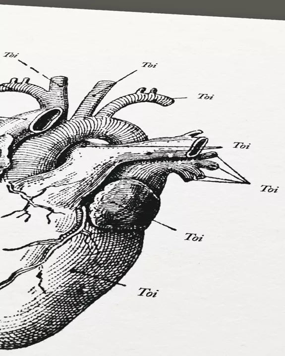 Affiche - Anatomie de mon cœur