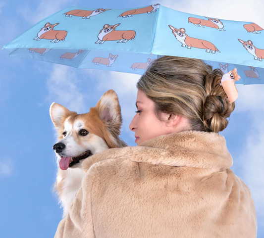 Parapluie Corgi - Coucou suzette x Duckhead