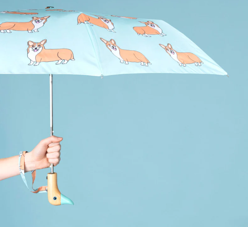 Parapluie Corgi - Coucou suzette x Duckhead