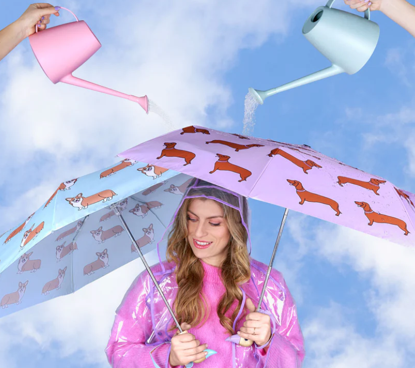 Parapluie Corgi - Coucou suzette x Duckhead