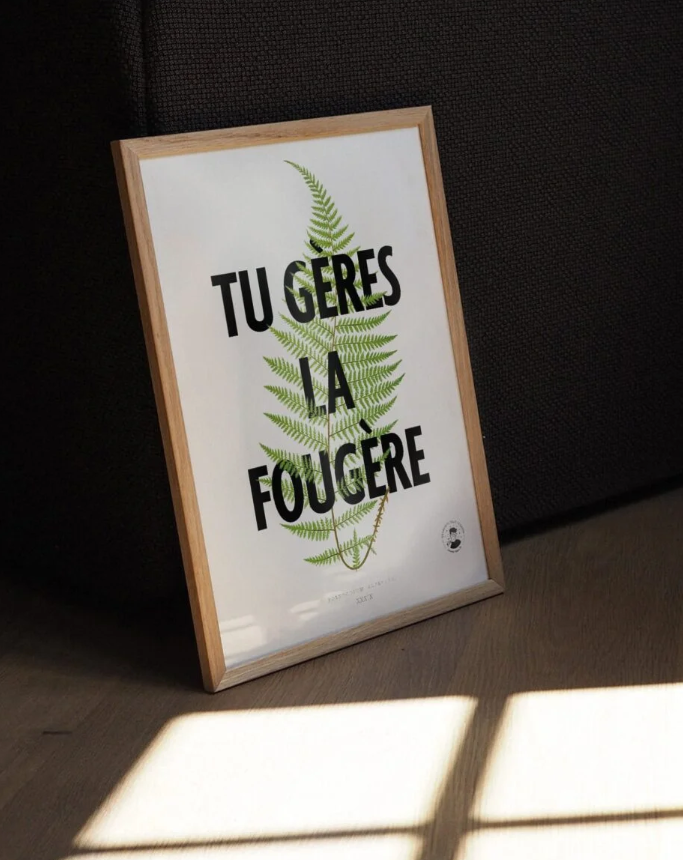 Tu gères la fougère | Affiche