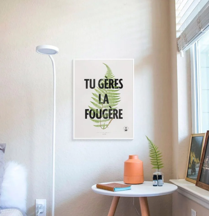 Tu gères la fougère | Affiche