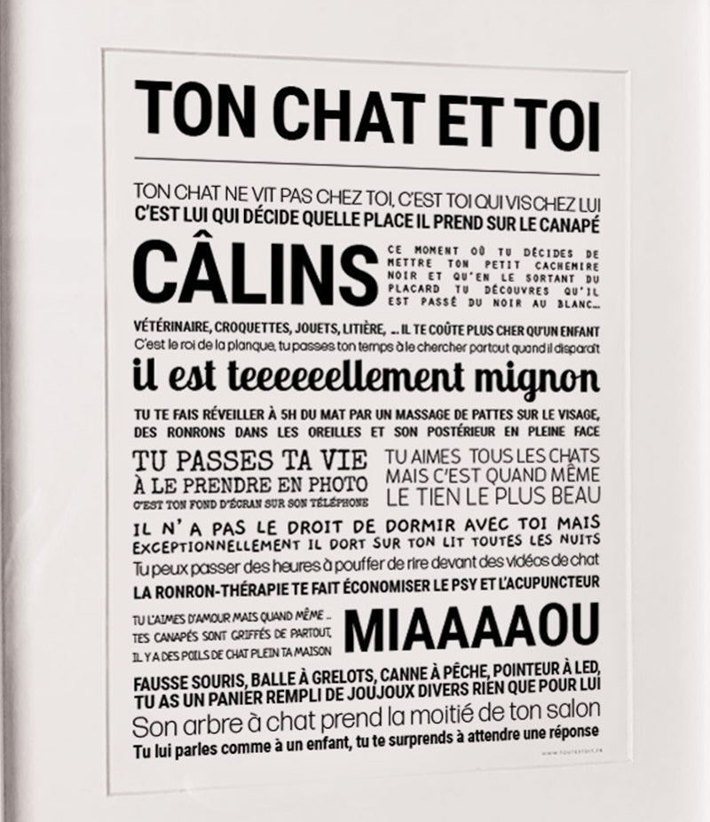 AFFICHE - TON CHAT ET TOI