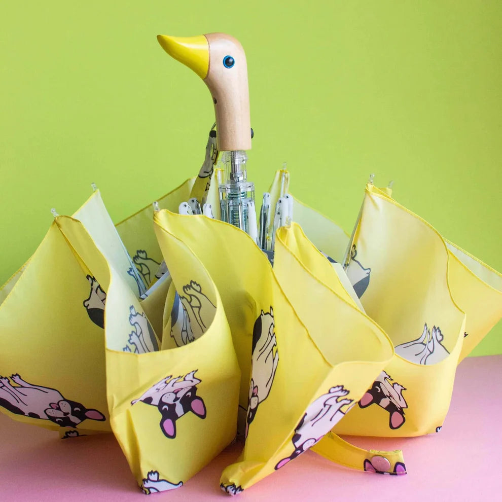 Parapluie Bouledogue - Coucou suzette x Duckhead