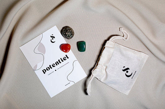 KIT 3 PIERRES - POTENTIEL - capacités et vie professionnelle