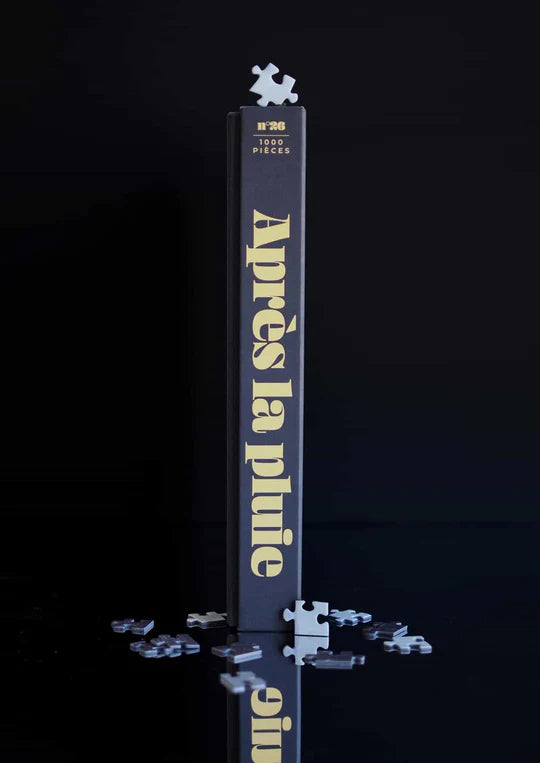Apres la pluie - Puzzle 1000 pièces