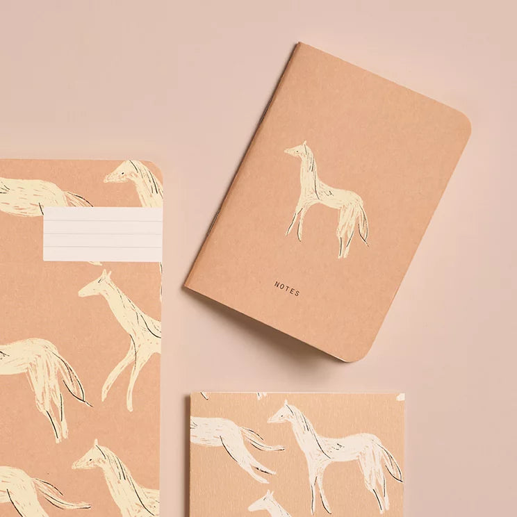 PETITS CARNETS