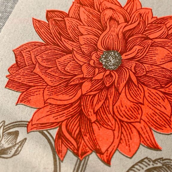 Carte postale Dahlie