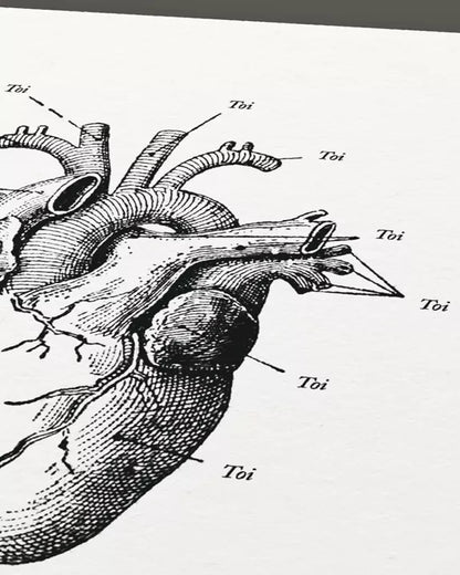 Affiche - Anatomie de mon cœur