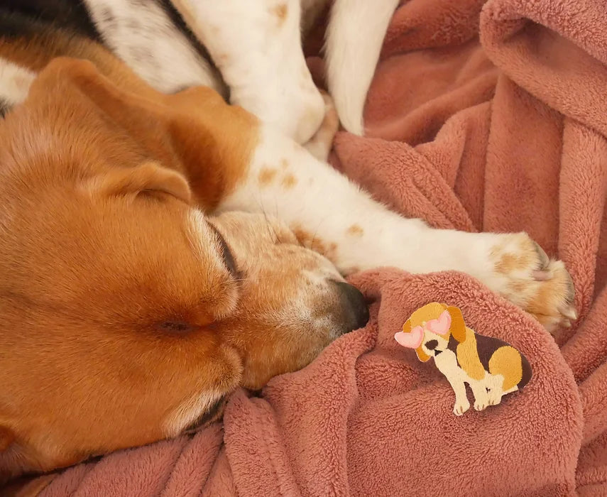 Patch thermocollant Beagle