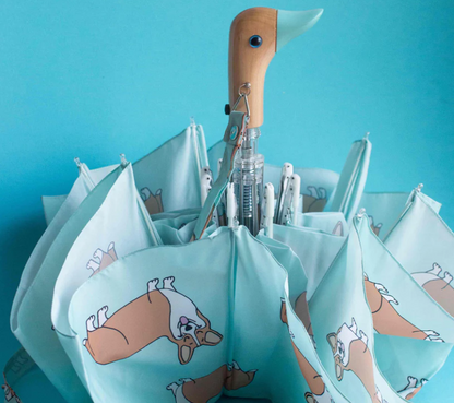 Parapluie Corgi - Coucou suzette x Duckhead