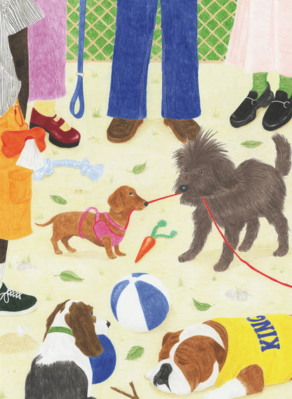 Sortir le chien - Puzzle 1000 pièces