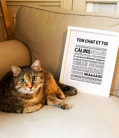 AFFICHE - TON CHAT ET TOI