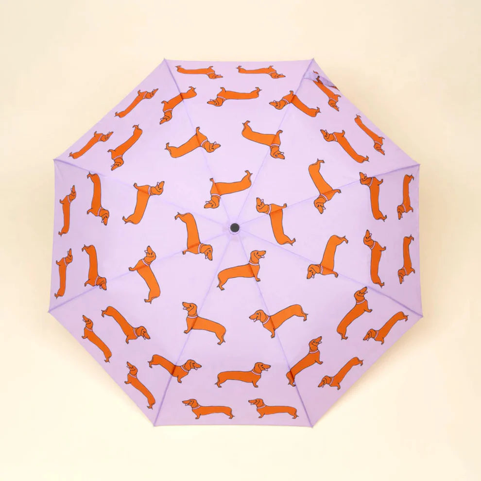 Parapluie Teckel - Coucou suzette x Duckhead