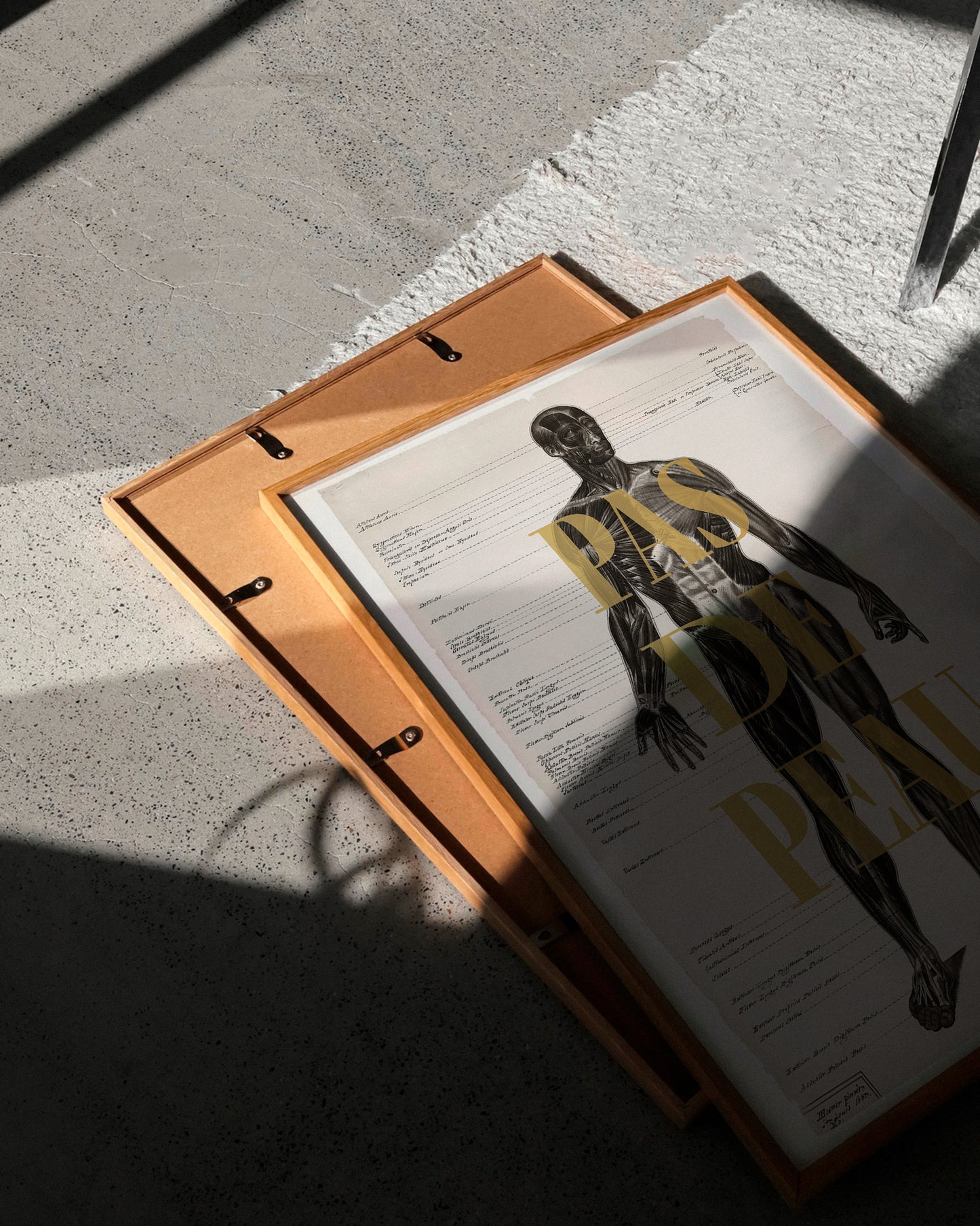 Affiche - Pas de peau