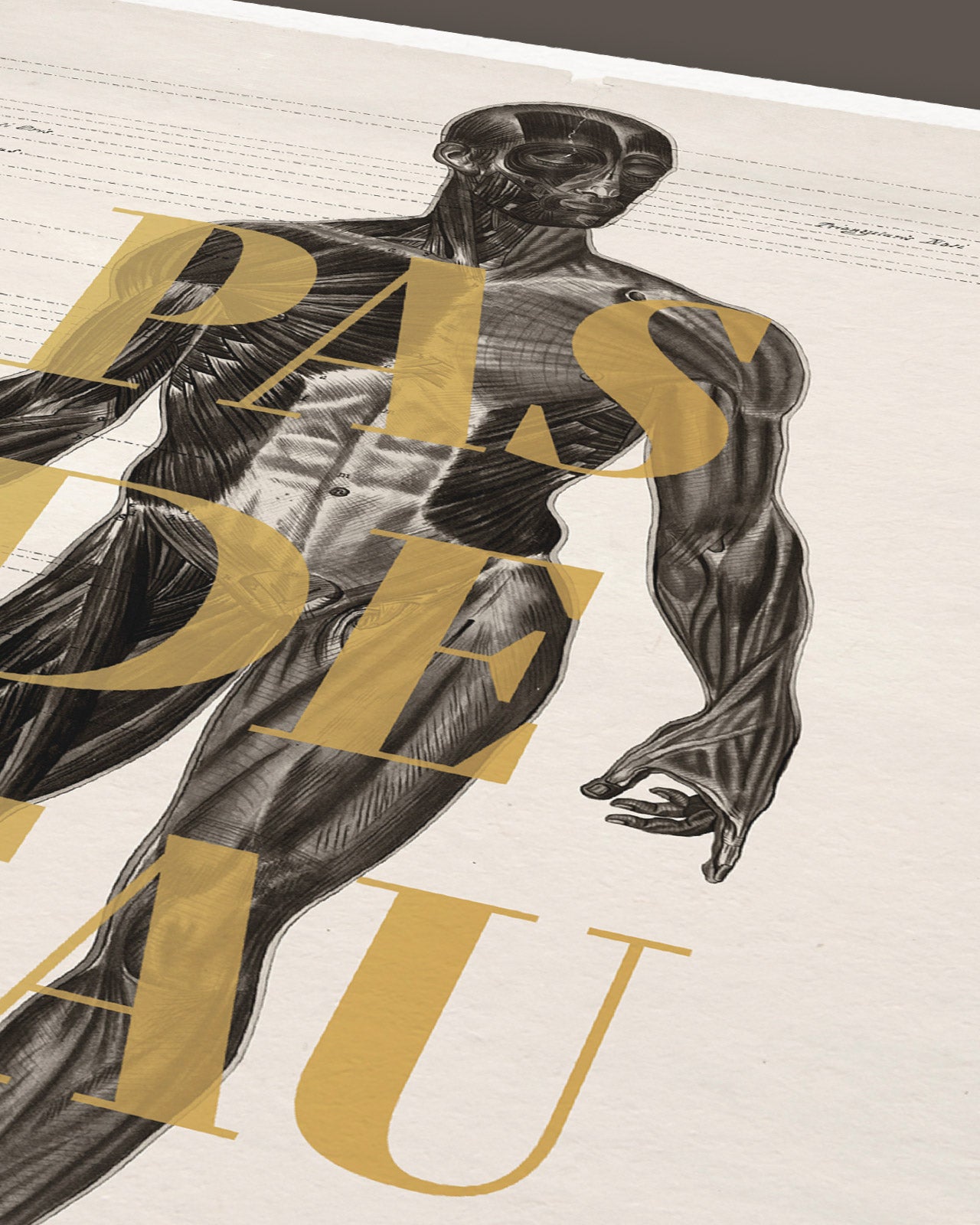 Affiche - Pas de peau